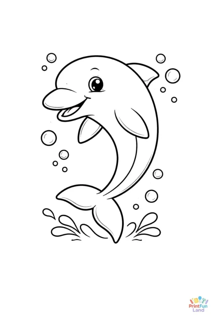 Dolphin